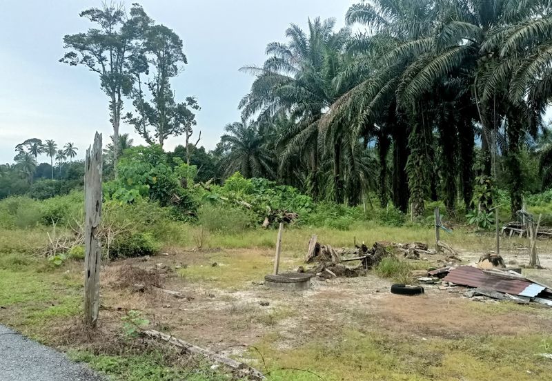 For Sale Agricultural Land (Residential Zoning)