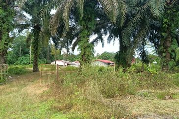 For Sale Agricultural Land (Residential Zoning)