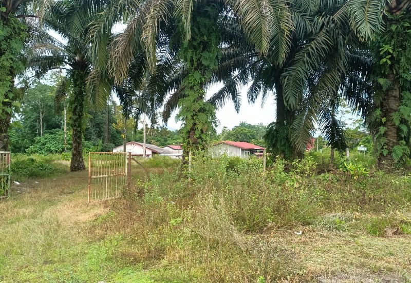 For Sale Agri Land