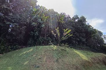 Bukit Gasing