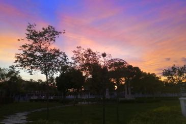 Tenderfields @ Eco Majestic