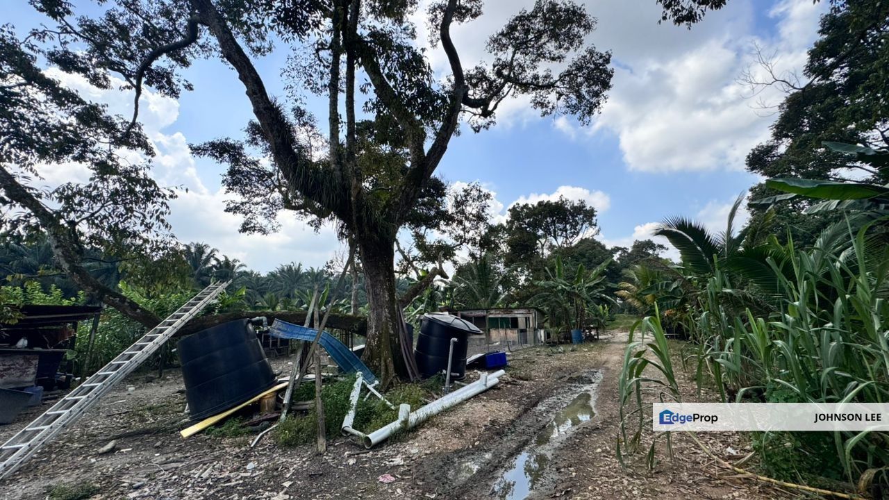 Gelang Patah Ulu Pula @ Zon Commercial Land For Sale, Johor, Gelang Patah