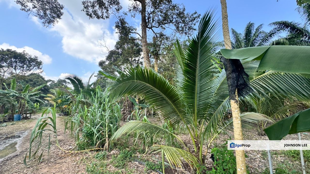 Gelang Patah Ulu Pula @ Zon Commercial Land For Sale, Johor, Gelang Patah