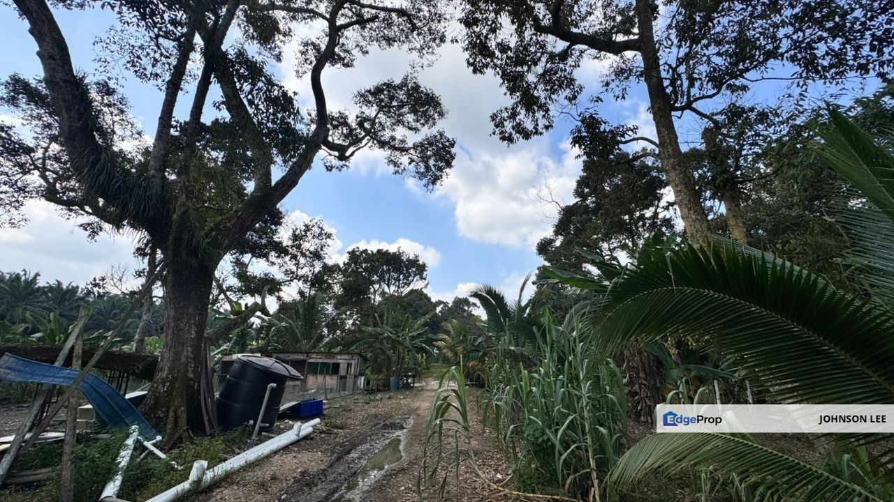 Gelang Patah Ulu Pula @ Zon Commercial Land For Sale, Johor, Gelang Patah