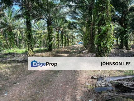 Gelang Patah @ Agriculture Land Zoning Commercial  For Sale, Johor, Gelang Patah