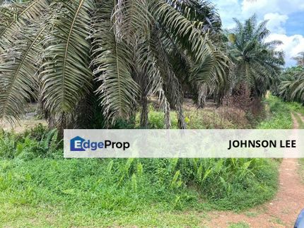 Kota Tinggi Industrial Zoning @ Agricultural Land For Sale, Johor, Kota Tinggi