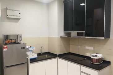 Cyperus @ Tropicana Gardens