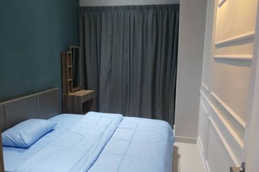 Cyperus @ Tropicana Gardens