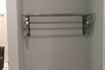 Cyperus @ Tropicana Gardens