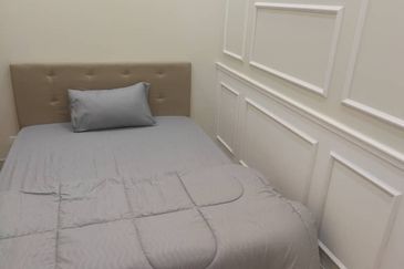 Cyperus @ Tropicana Gardens