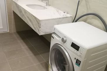 Cyperus @ Tropicana Gardens