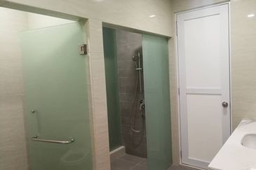 Cyperus @ Tropicana Gardens