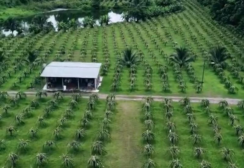 Hulu Selangor Land for Sale