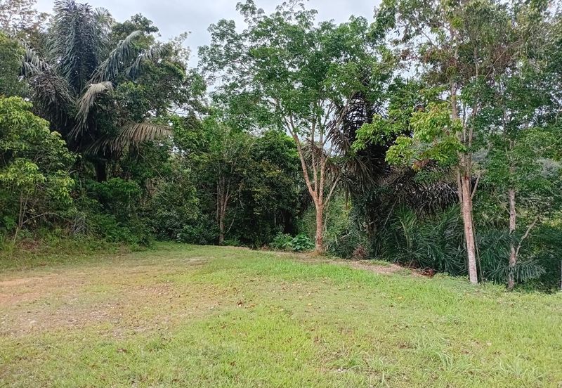 Exclusive Resort & Agricultural Land for Sale in Jelebu