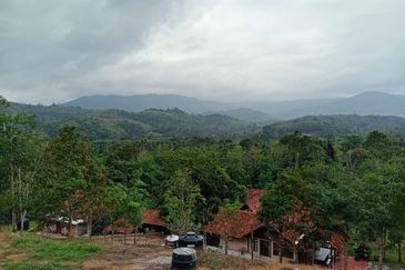 Exclusive Resort & Agricultural Land for Sale in Jelebu