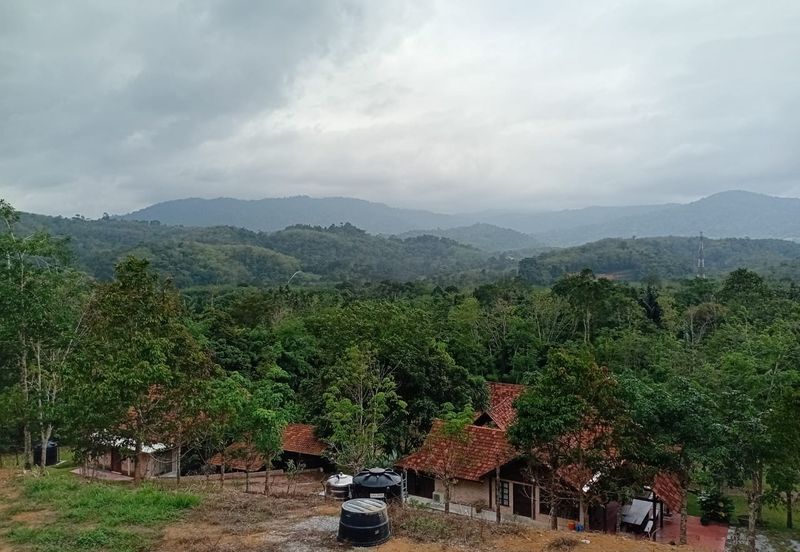 Exclusive Resort & Agricultural Land for Sale in Jelebu