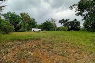 Exclusive Resort & Agricultural Land for Sale in Jelebu