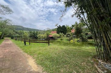 Exclusive Resort & Agricultural Land for Sale in Jelebu