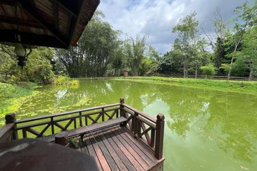 Exclusive Resort & Agricultural Land for Sale in Jelebu