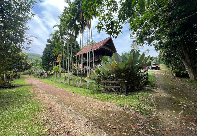 Exclusive Resort & Agricultural Land for Sale in Jelebu