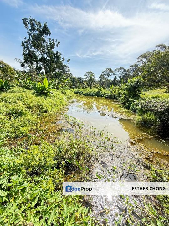 Melaka Jasin Agricuture Land , Melaka, Jasin