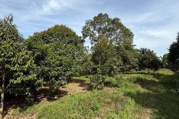 Jalan Persiaran Jasin Bestari