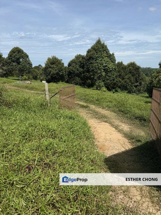 Melaka Jasin Agricuture Land , Melaka, Jasin