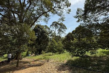 Jalan Persiaran Jasin Bestari