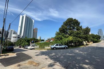 Stulang Laut / Darat