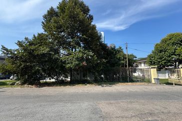 Stulang Laut / Darat