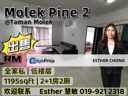 Molek Pine 2, Johor, Johor Bahru