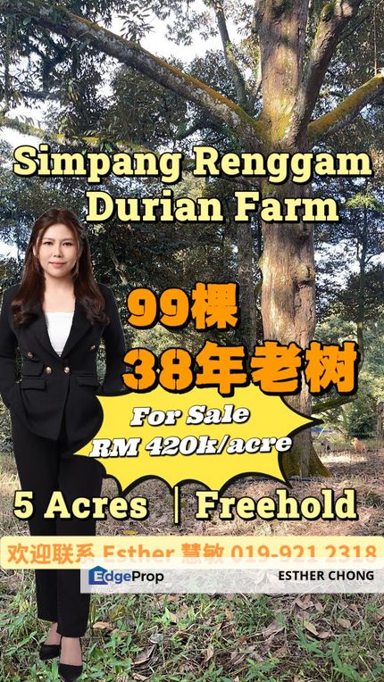 Kluang Durian Farm, Johor, Kluang