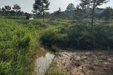 Ayer Hitam 6.8acres durian farm