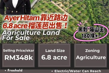 Ayer Hitam 6.8acres durian farm