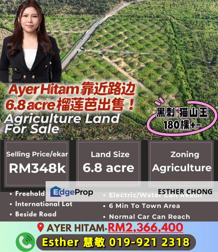 Ayer Hitam 6.8acres durian farm, Johor, Ayer Hitam