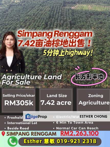 Simpang Renggam Agriculture Land, Johor, Kluang