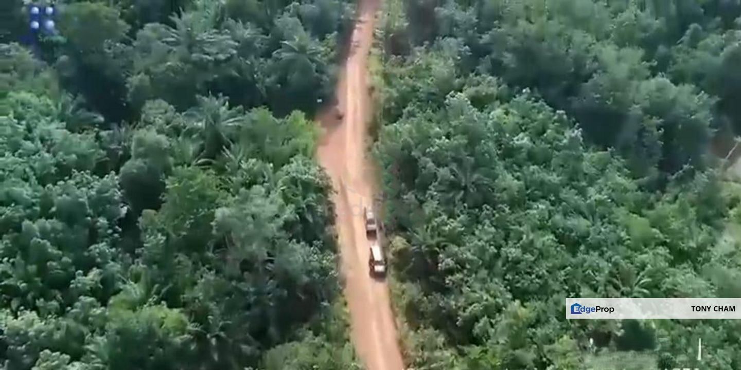 Agriculture Land @ Rompin Pahang For Sale, Pahang, Rompin District