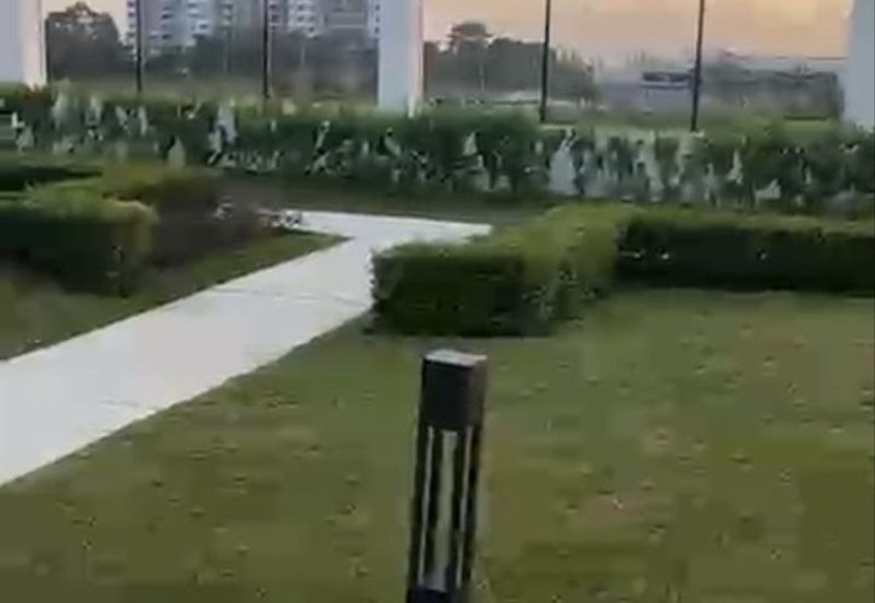 The Borough @ Eco Botanic 2