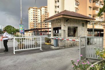 Sri Lavender Apartment