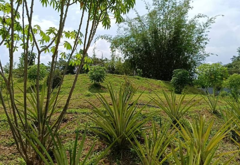 Kerling Industrial Land