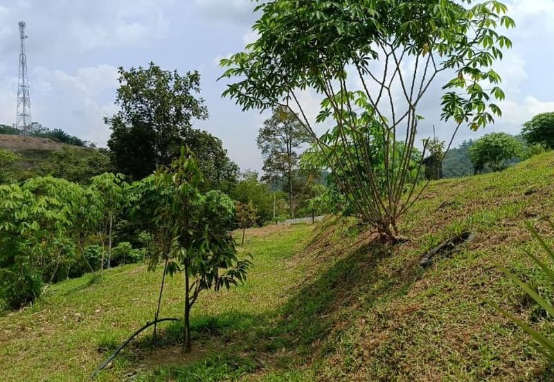 Kerling Industrial Land