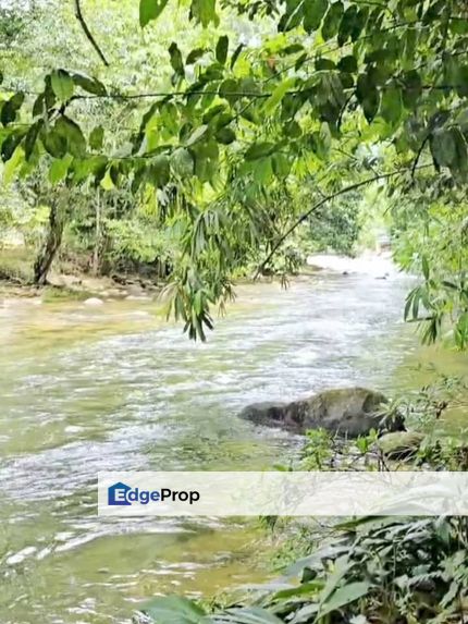 5 Ekar Tanah Dusun Ada Sungai Cantik, Hulu Bernam, Selangor, Hulu Selangor