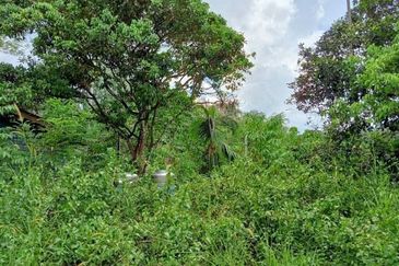 Batang Kali Malay Reservation