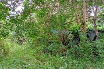 Batang Kali Malay Reservation