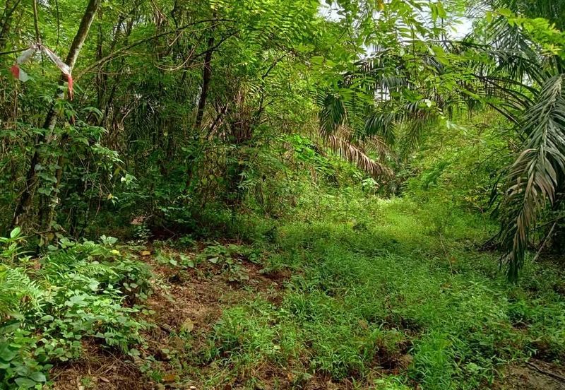 Pekan Ulu Yam (Lama)