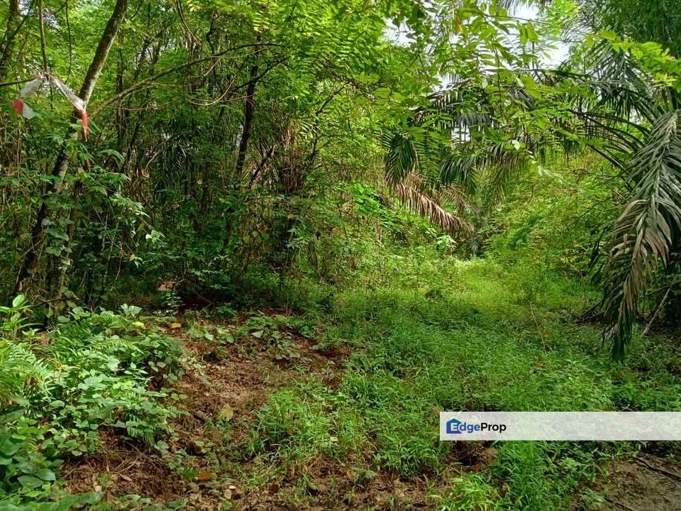 5 Ekar Tanah Tepi Jalan Ada Sungai , Selangor, Batang Kali