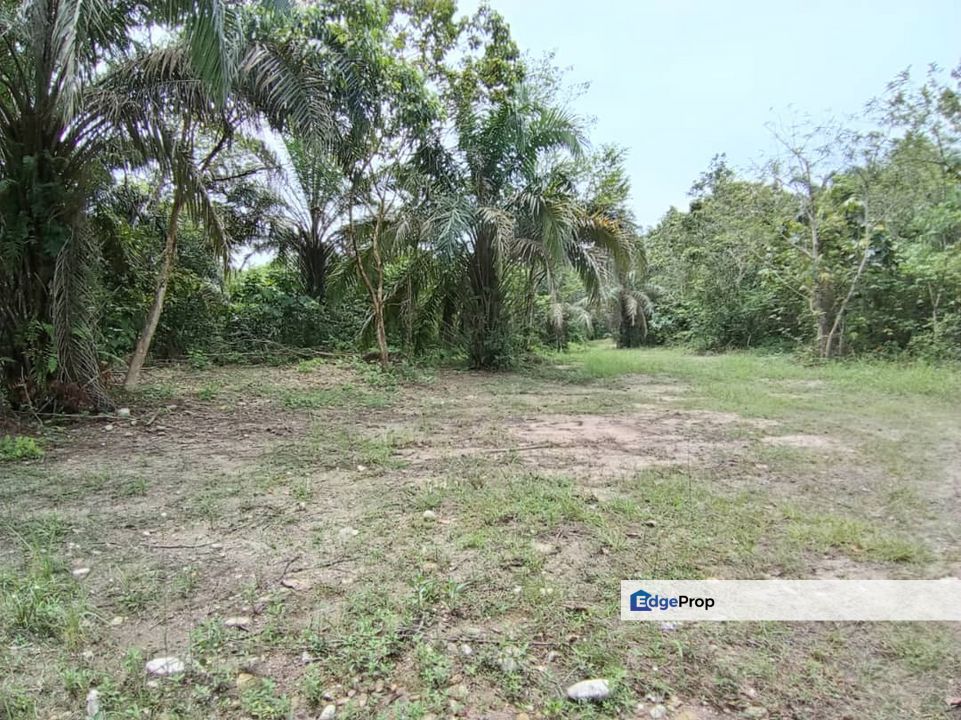 5 Ekar Tanah Tepi Jalan Ada Sungai , Selangor, Batang Kali