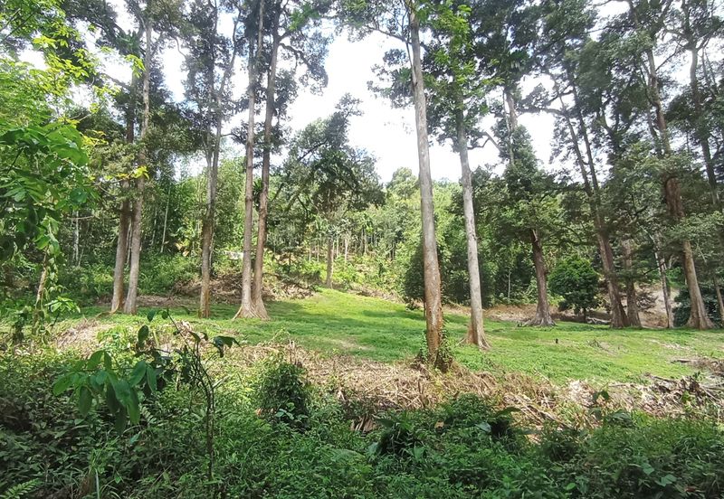 Pekan Ulu Yam (Lama)