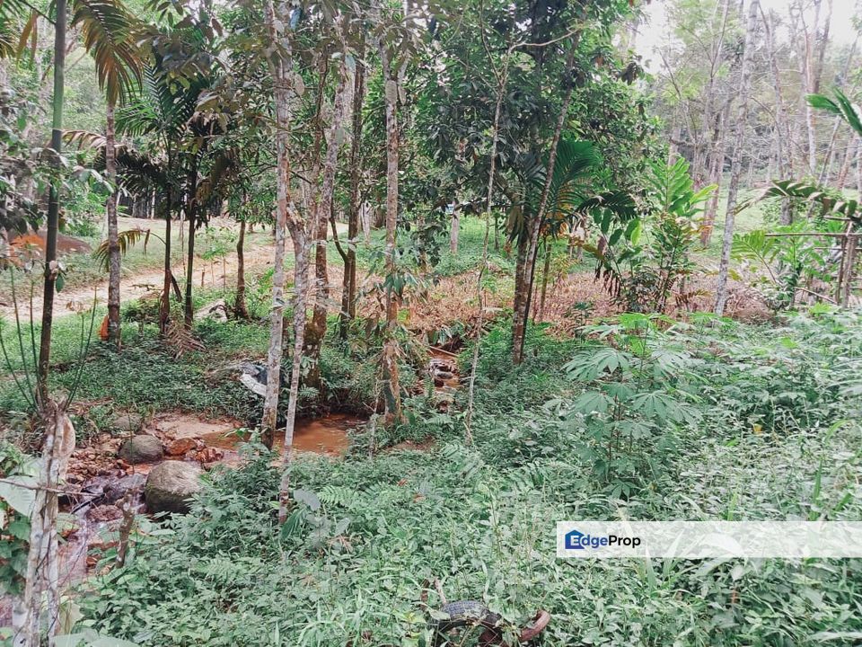 Ulu Yam 3.8 Ekar Tanah Dusun , Selangor, Batang Kali