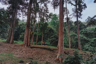 Pekan Ulu Yam (Lama)